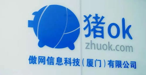 隱形廈門(mén)股 有哪些 這六家熟悉的上市企業(yè)注冊(cè)地并非廈門(mén) 丨觀瀾財(cái)經(jīng)